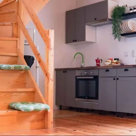 Holiday In - Istrien 43555 Tatil Evi Baderna