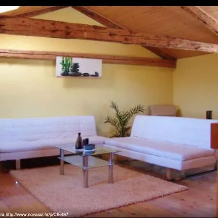 Ferienhaus Holiday In - Istrien 43555